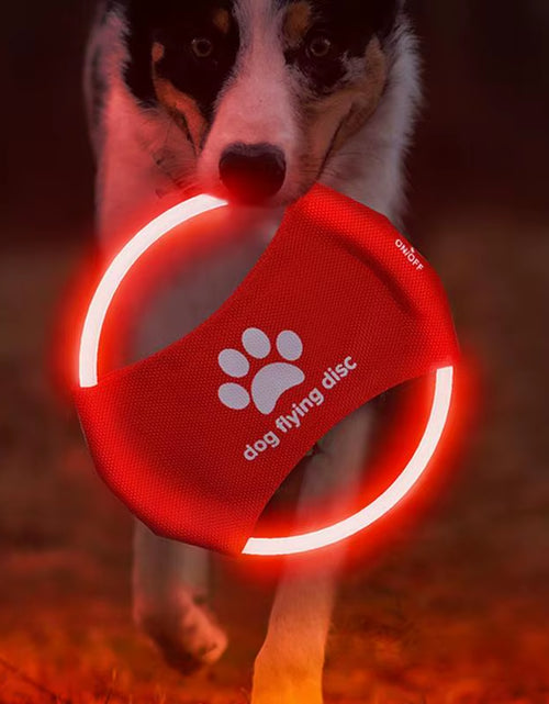 Load image into Gallery viewer, Pet Supplies Dog Toys Glow in the Dark Flying Discs Trainning Interactive Game Throwing Catching Ring for Small Medium Large Dog
