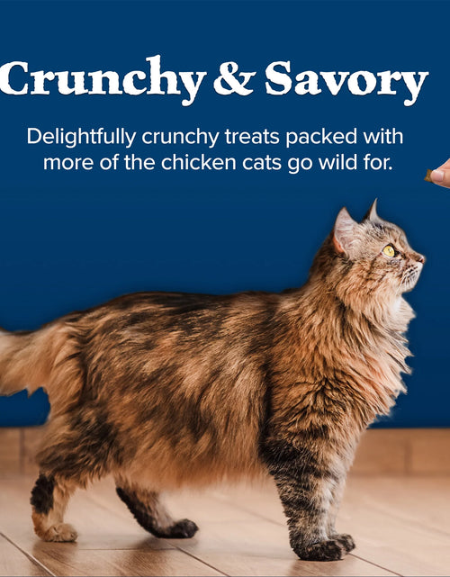 Load image into Gallery viewer, Wilderness Crunchy Dry Cat Treats, Natural &amp; Grain-Free, Chicken, 12-Oz. Tub
